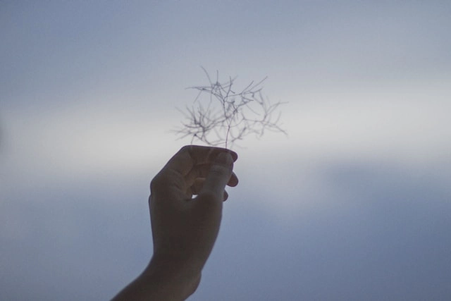 Summer with Janelle, 2014